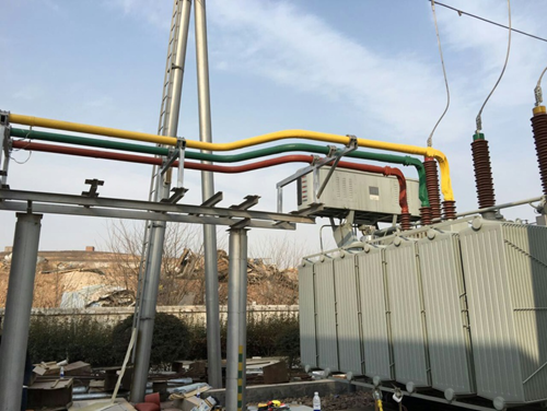 河南密集型樱桃视频污视频​的特點是什麽