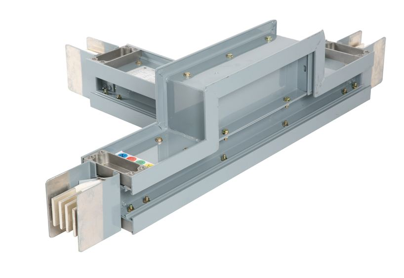 密集型樱桃视频污视频的一些特征